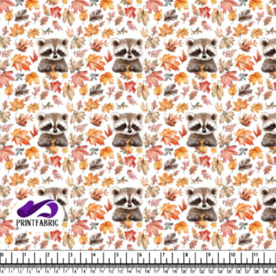 Raton laveur avec des feuilles d'automne