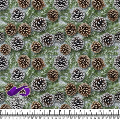 Motif de Pignes de Pin Saupoudrées de Neige sur Branche de Sapin