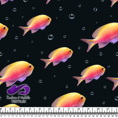 Poissons tropicaux colorés et bulles d'air