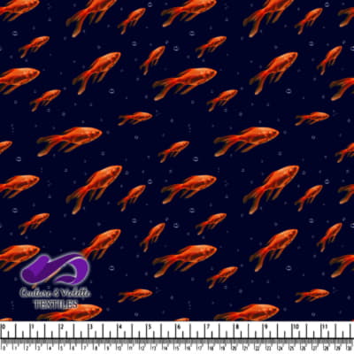 Poissons rouges vibrants nageant dans une eau sombre