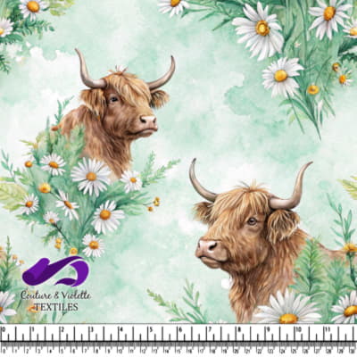 Highland Cows Among Daisies Design