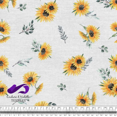 Tournesols sur fond blanc