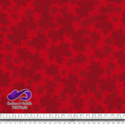 Canada 2022 - Mélange de feuilles sur fond rouge clair