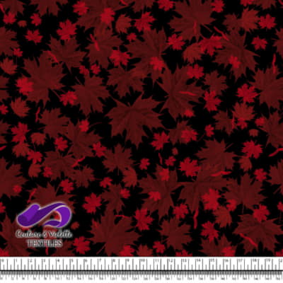 Canada 2022 - Mélange de feuilles rouges sur fond noir