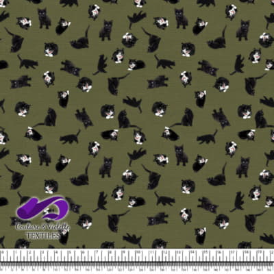 Chat noir - Chats sur texture d'olive