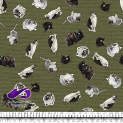 Chat - Mademoiselle sur Texture Olive