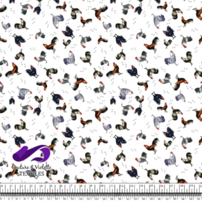 Coqs et Poules - Volée de Plumes sur Fond Blanc