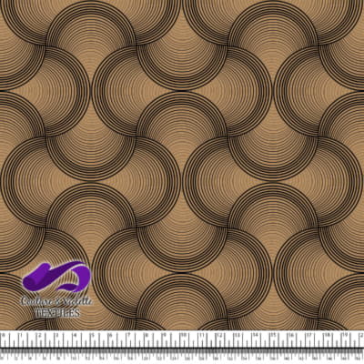 Géométrie Naturelle - Coquillage sur fond café glacé