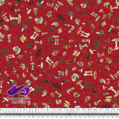 Vintage mushroom - Champignons sauvages - Lava fall