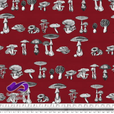 Vintage mushroom - Gravures - Lava fall