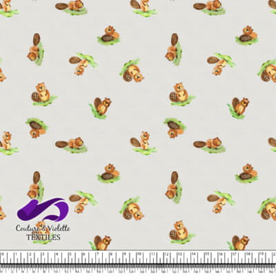 Petits animaux - Castors - Rice milk cloud