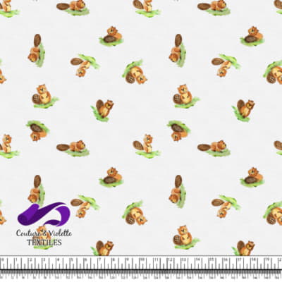 Petits animaux - Castors - Blanc