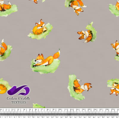 Petits animaux - Renard - Silver cloud