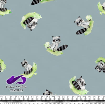 Petits animaux - Raton laveur - Blue cloud