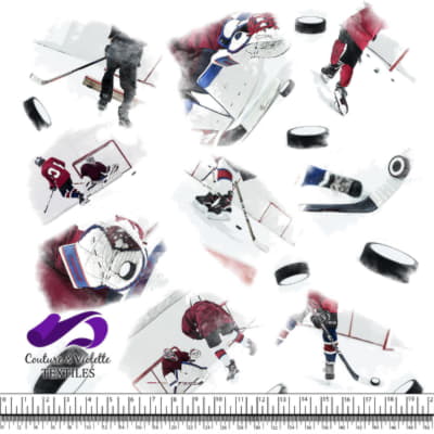 Joueurs de Hockey, Pucks et Glace