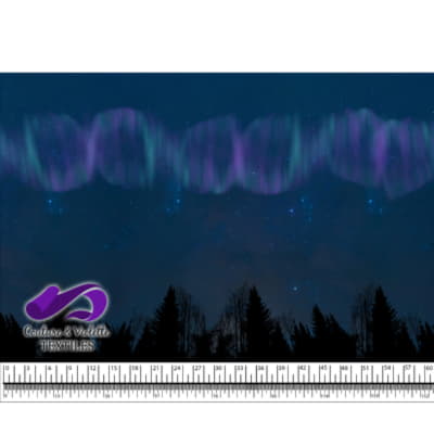 Night sky - Forest avec aurore boréale violette