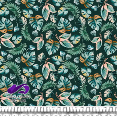 Monstera - Leaf - Growth