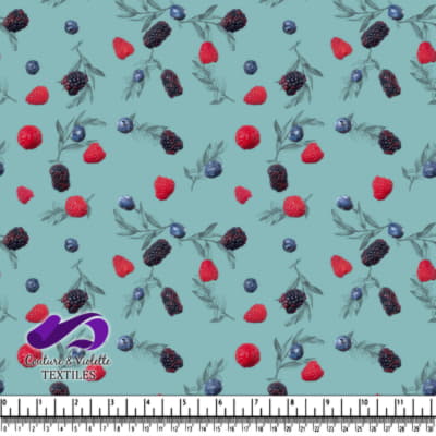 Salade de fruits - Petits Fruits - Dusty Aqua